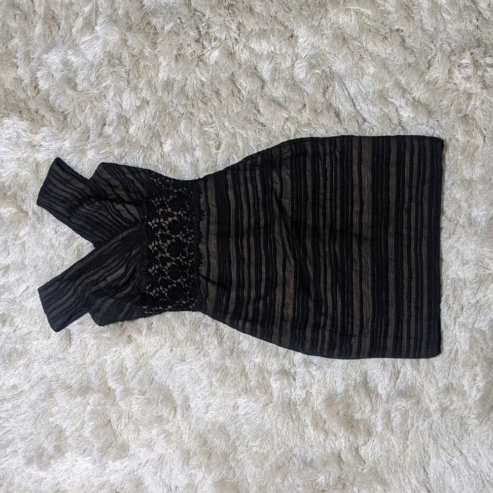 Tadashi Shoji Nude Mesh Lace Dress 2P